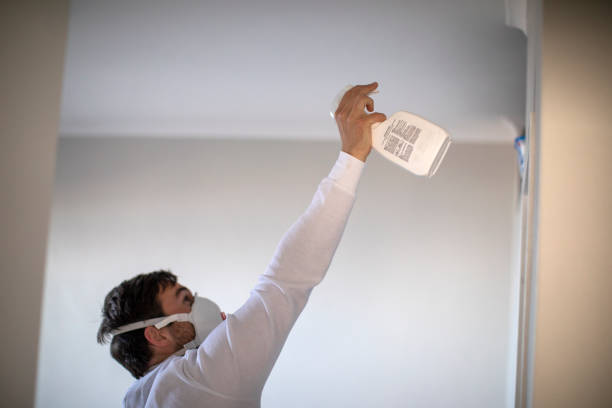 Mold Removal Process in Englewood, FL